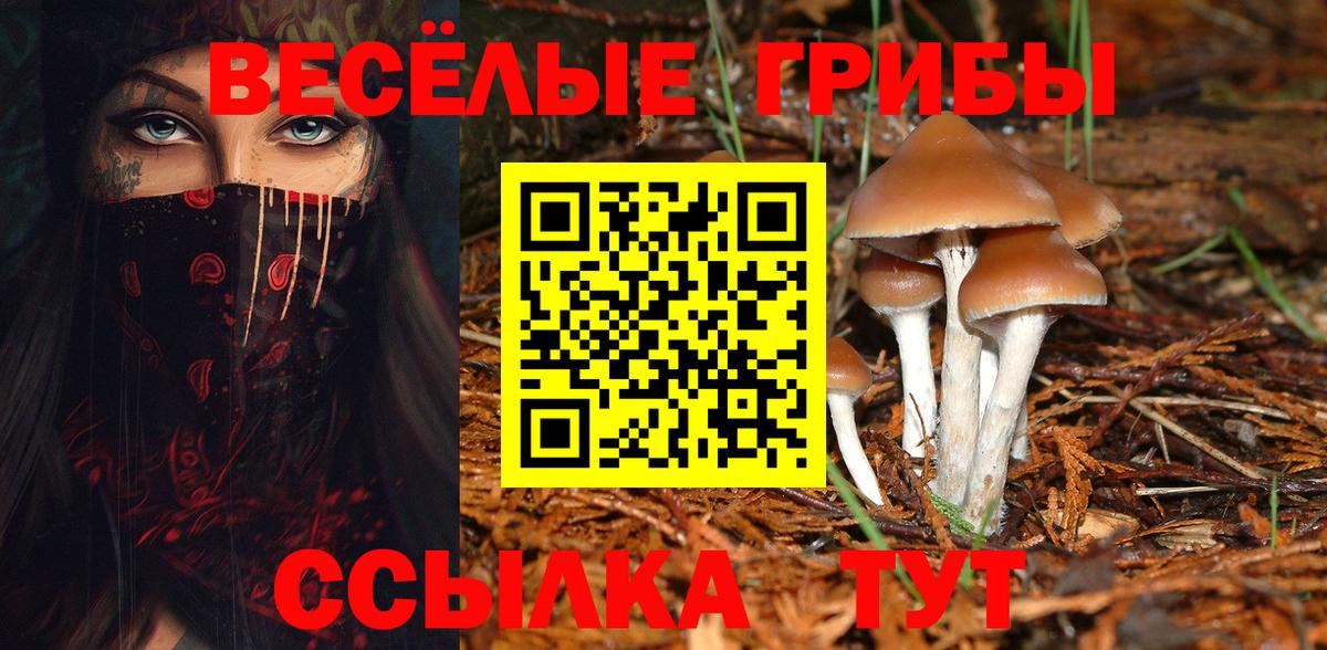 Кемерово  Галлюциногенные грибы Cubensis  Вход с VPN 