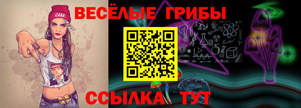 Галлюциногенные грибы Cubensis Кемерово